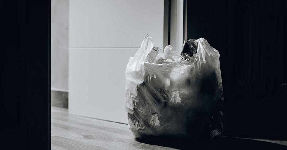 Do You Really Need That Shopping Bag?