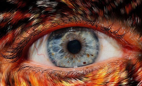 10% Human. 90% Germs