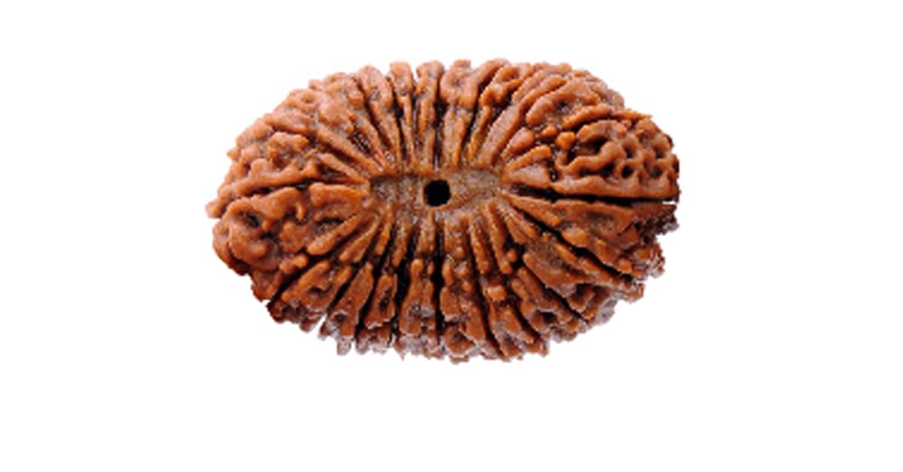 Twenty-One Mukhi Rudraksha And Its Effects