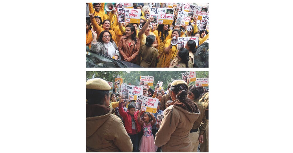 Animal Trafficking Finding Terrorism