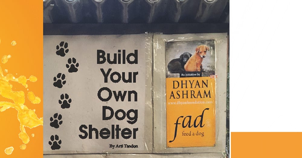 Build your own dog shelter