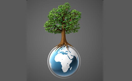 Why The Vedic Seers Respected The Environment