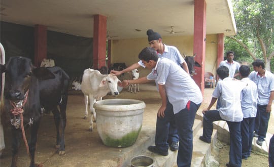 It Is In Giving That You Recieve