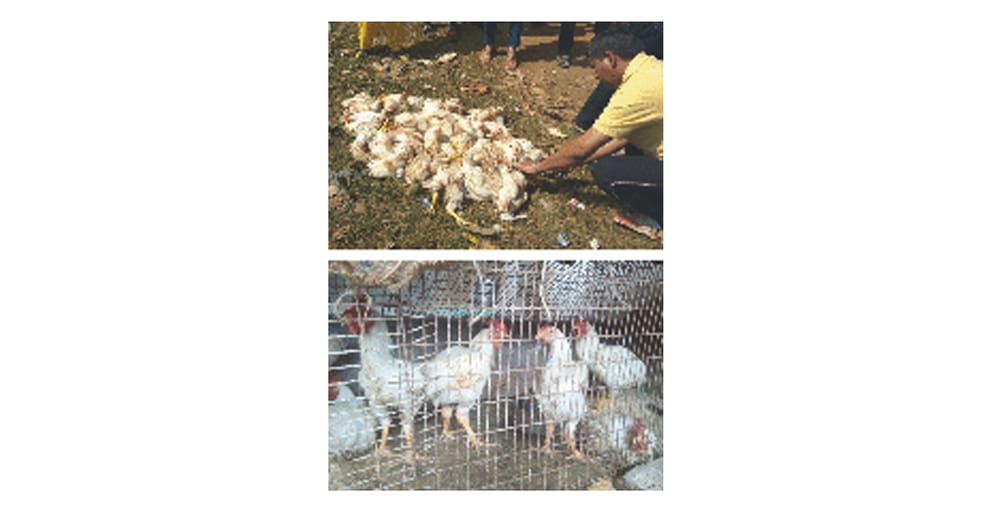 Happy New Year - Sadhaks Experience