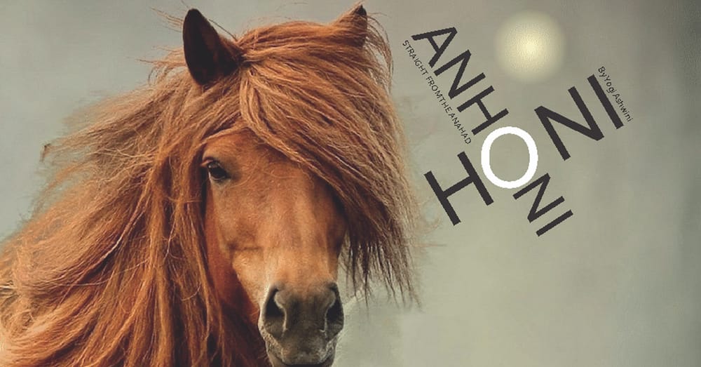 Honi Anhoni