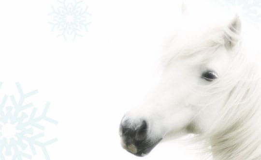 Kapha: Binding Factor