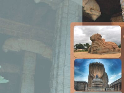 Le ‘pakshi’ – Rise Bird (TIW Traveller)