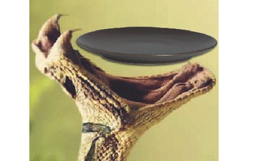 Parikshit, Fate Served On A Plate