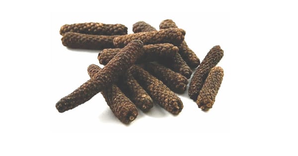 Black Food: Everything You Need To Know