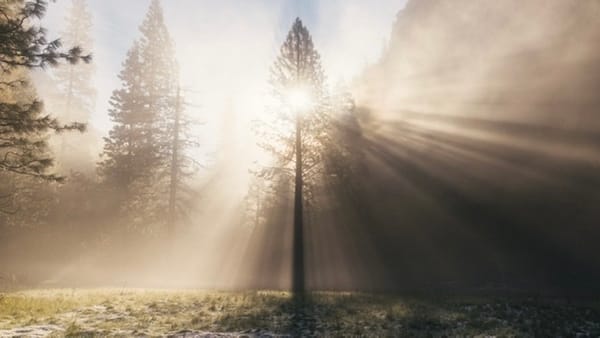 Where the Hare chase the Hound