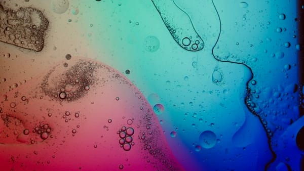 Essence of Herbs - Rasa (taste)