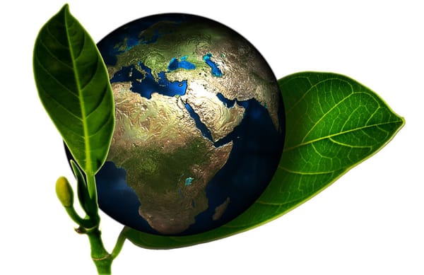 Healing Touch Of Mother Earth