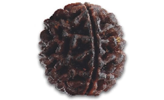 ONE-MUKHI RUDRAKSHA