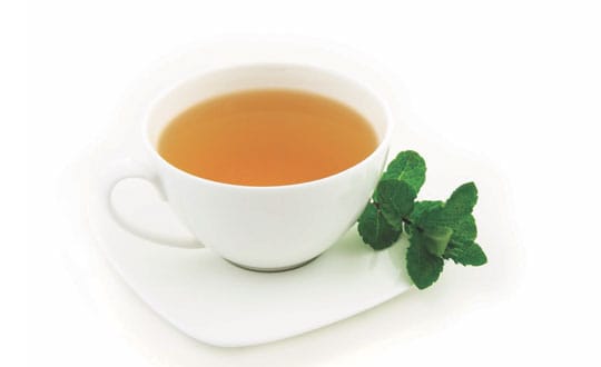 Pudina Chai Recipee And Health Benefits