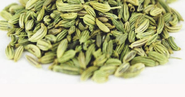 Reduce Kapha, Reduce Excess Fat