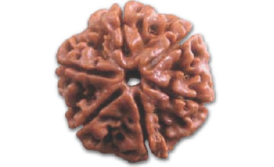 Rudraksha, The Blue Marble