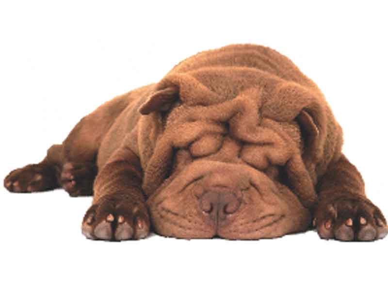 Sleep For Good Health